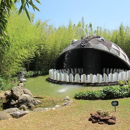 Ulivo Della Querce Villa ภายนอก รูปภาพ